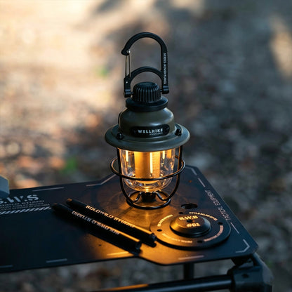 Mini Pine Cone Lamp, 80h Ultra-Long Battery Life, Outdoor Lighting, Camping, Portable, Campsite Ambient Retro Light, Portable Waterproof Lamp