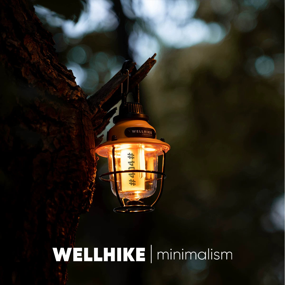 Mini Pine Cone Lamp, 80h Ultra-Long Battery Life, Outdoor Lighting, Camping, Portable, Campsite Ambient Retro Light, Portable Waterproof Lamp