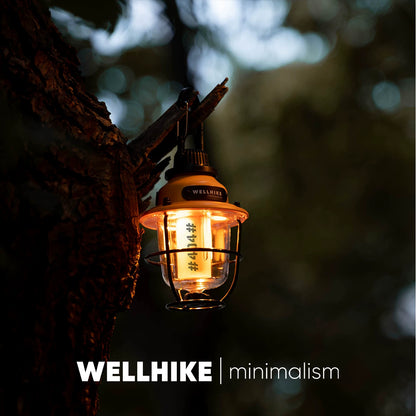 Mini Pine Cone Lamp, 80h Ultra-Long Battery Life, Outdoor Lighting, Camping, Portable, Campsite Ambient Retro Light, Portable Waterproof Lamp