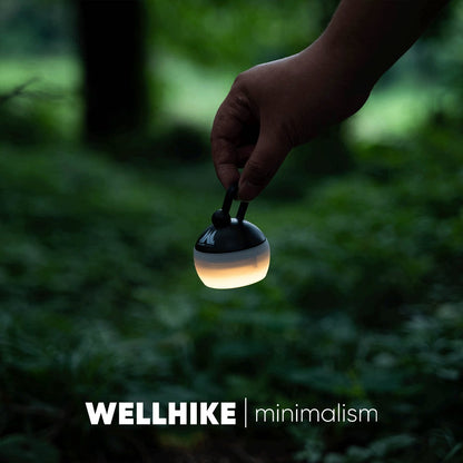 Mini Pine Cone Lamp, 80h Ultra-Long Battery Life, Outdoor Lighting, Camping, Portable, Campsite Ambient Retro Light, Portable Waterproof Lamp