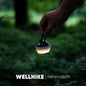 Mini Pine Cone Lamp, 80h Ultra-Long Battery Life, Outdoor Lighting, Camping, Portable, Campsite Ambient Retro Light, Portable Waterproof Lamp