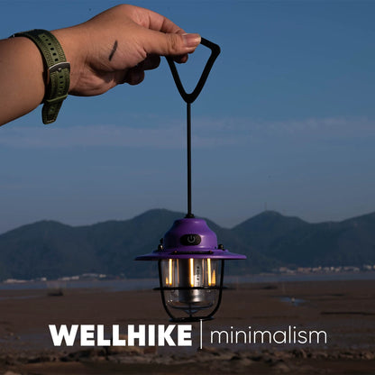 Mini Pine Cone Lamp, 80h Ultra-Long Battery Life, Outdoor Lighting, Camping, Portable, Campsite Ambient Retro Light, Portable Waterproof Lamp