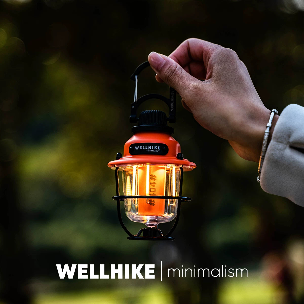 Mini Pine Cone Lamp, 80h Ultra-Long Battery Life, Outdoor Lighting, Camping, Portable, Campsite Ambient Retro Light, Portable Waterproof Lamp