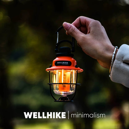 Mini Pine Cone Lamp, 80h Ultra-Long Battery Life, Outdoor Lighting, Camping, Portable, Campsite Ambient Retro Light, Portable Waterproof Lamp